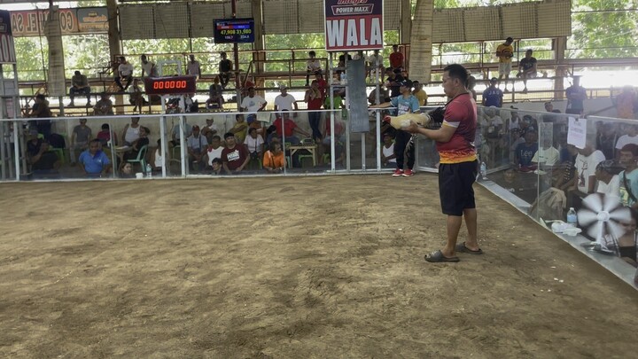 RVG Kanawayon my imortal kanawayon 2