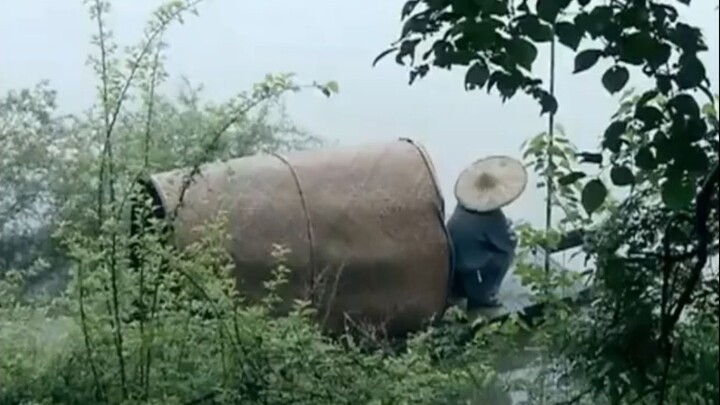 老人家，摆个渡行吗