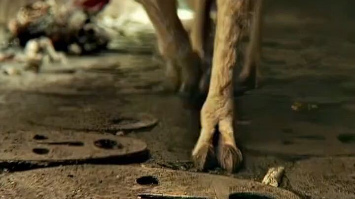 Movie DaVinci Quest recap