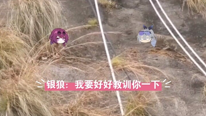 卡妈喵，你到底干了什么！！！（下）