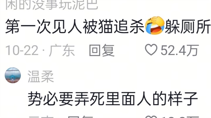 Kucing tiba-tiba stres parah dan menyerang orang seperti gila—aku langsung kabur ke dapur saat kekac