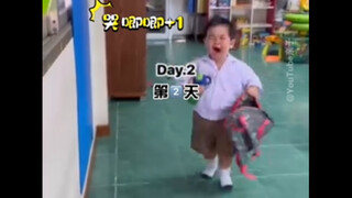 上学篇·肉眼可见的适应