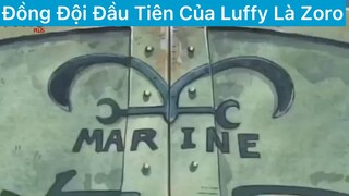 Đồng đội đầu tiên của luffy
