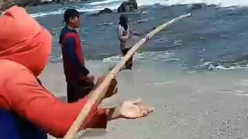 mancing ikan raksasa di pantai