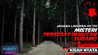 CERITA MITOS TERSESAT DI HUTAN SUBANG - CERITA MISTERI