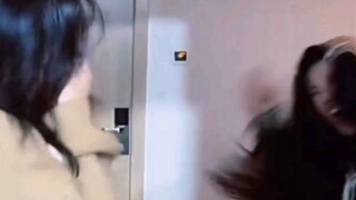 白鹿X孙珍妮