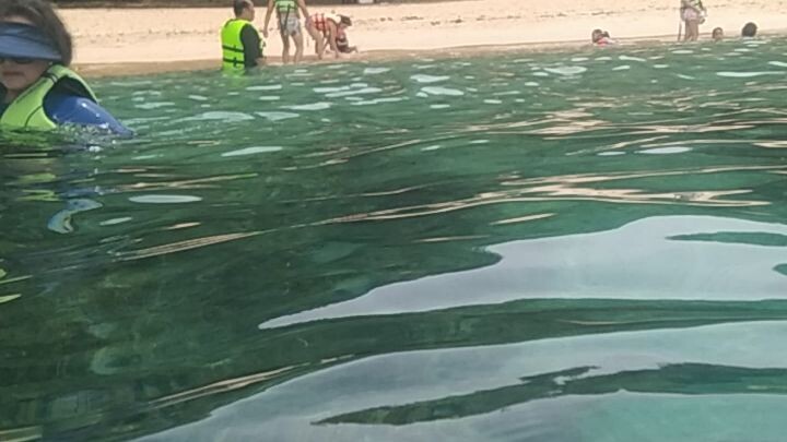 swimming