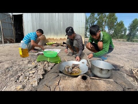 BỮA CƠM SÁNG NĂNG LƯỢNG - TT250