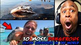 10 Most DANGEROUS Ocean Creatures In The World