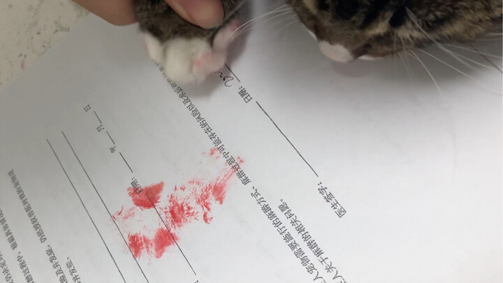 It came for spaying/neutering voluntarily.