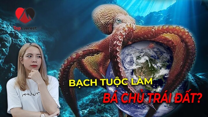 Chuyện Gì Xảy Ra Nếu Loài Người Đột Nhiên Biến Mất - Bạch Tuộc Sẽ Làm Chủ Trái Đất?