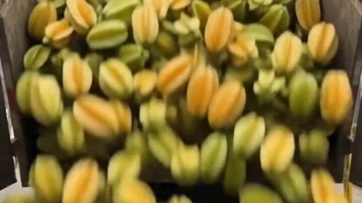 Satisfying Red Palm Fruit & Factory Automation ASMR #Factory #ASMR #Fruit #Automation"