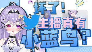 “主播你在小蓝鸟多少有点副业”