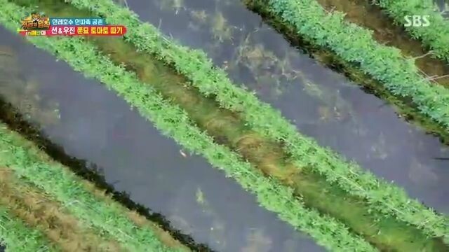 LotJungle.E377.360p.myanmar pentagon