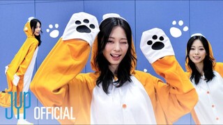 周子瑜 可爱狗子cosplay版 Run Away舞蹈练习室！