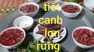 Tiết canh lợn rừng.ăn rằm tháng năm. Chung lợn rừng về ăn. Giết sâu bọ. Biển Nguyễn ngọc