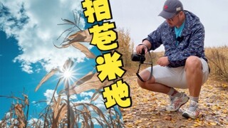 Mengambil foto di ladang jagung yang layu, apakah terlihat vulgar atau berkelas?