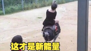 Now this is what a true new-energy ride looks like!