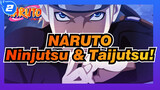 NARUTO|【Kompilasi Keren/AMV】Pesta visual Ninjutsu dan Taijutsu Naruto!_2