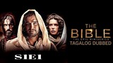 The Bible S1: E1 Beginnings 2013 HD TagDub