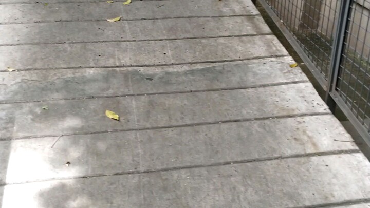 JPO Sudirman Jakarta