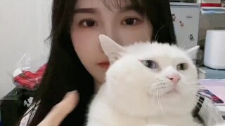 The struggling business owner and Su Shanshan, Tian Shuli whose spellcasting was interrupted,