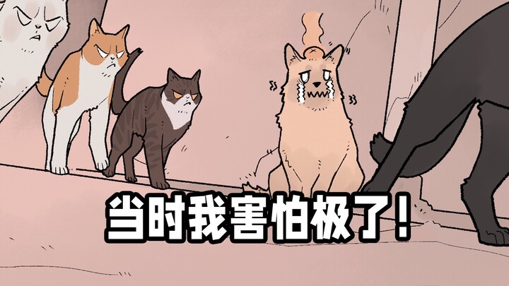 Stick around till the end and feel the oppressive vibe of Cat Society!