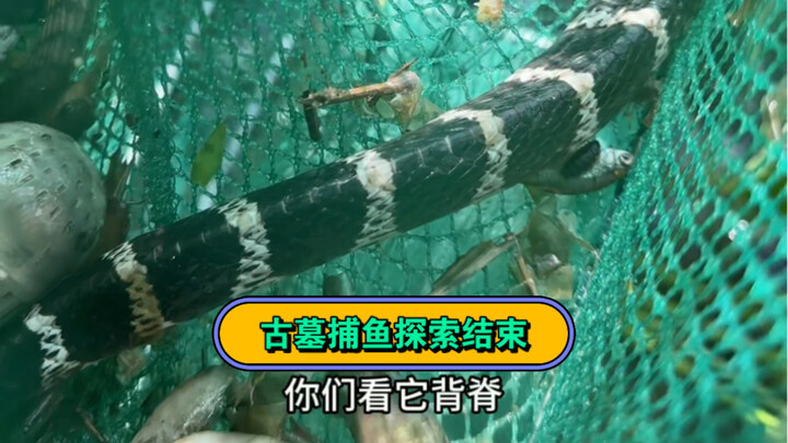 We successfully completed our exploration of the underwater biodiversity here just before the typhoo