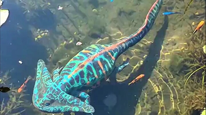 The salamander-like head relies on eel-like tail undulations to generate propulsive power.