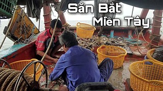 Đi Biển Đánh Bắt Mùa ''MỰC TUỘT'' Trúng Thấy Ham | Ngư Dân Miền Tây