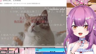 日本龙女看猫猫减肥爆笑 爱情的力量是无限的