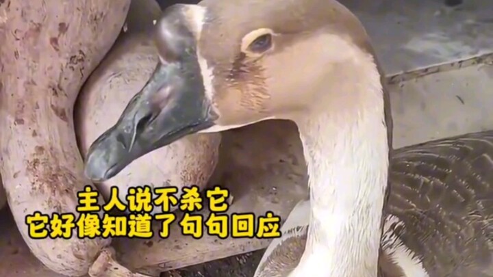 ทุกสิ่งล้วนมีจิตวิญญาณ