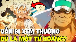 LUFFY VẪN BỊ XEM THƯỜNG DÙ CHO LÀ MỘT TỨ HOÀNG?! | LÝ DO LUFFY BỊ XEM THƯỜNG TRONG ONE PIECE