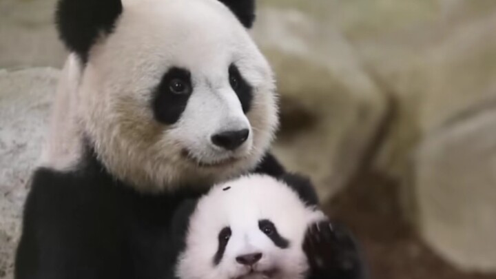 She seems really happy with the baby she gave birth to!