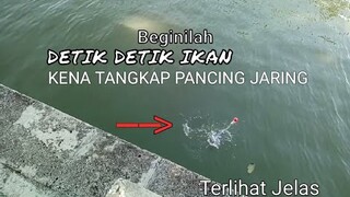 Beginilah Detik detik Tertangkapnya Ikan Pakai Pancing Jaring (spring bom net)