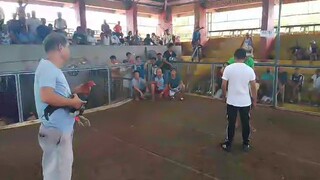 GELMOREHATCH (inaction)