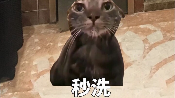 All the Superpowers Guys Have!