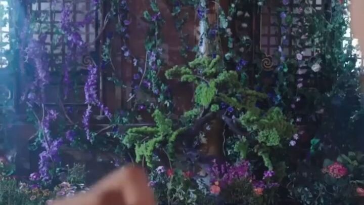 ดอกพีชบานสะพรั่งในเงามืด_นกกระเรียนร้องเสียงก้อง