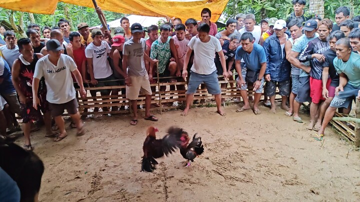 Tinocawan (Lose) 10-26-2025