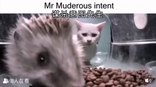 《街头众生相》
