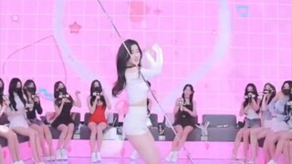 Panda Class KBJTV Korea