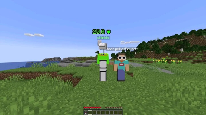 Minecraft PROTECT THE CHICKEN