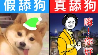 《舔和不舔看完都沉默了》