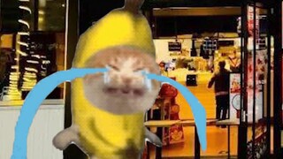 Banana Cat is doing housework like crazy, going crazy on Thursday to eat KFC!