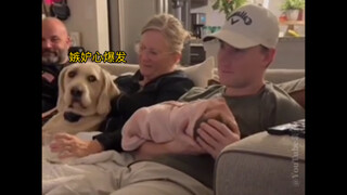 狗子，你失宠了喔…