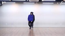 BTS - Best Of Me (Practice Record)