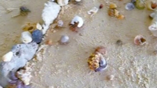 内陆的孩子羡慕了