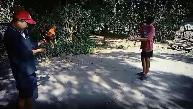 nakaChamba sabaw sabaw lang 1st fight ni pula 06-29-2026  @highlight