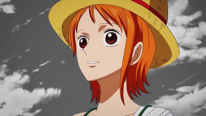 One Piece AMV - Love and Honor