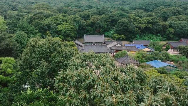 Undercover.High.School.S01E05.480p.WEB-DL.Hindi